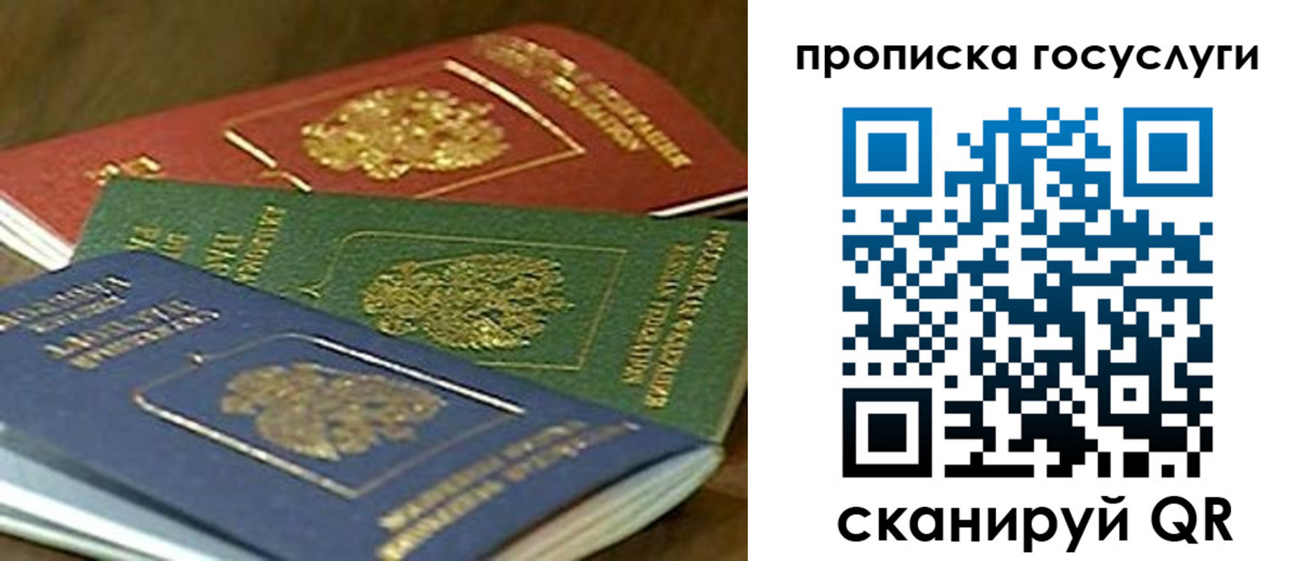 прописка гарантия в Биробиджане